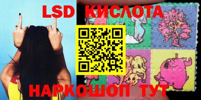 крисы Краснодар