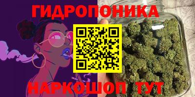 крисы Краснодар